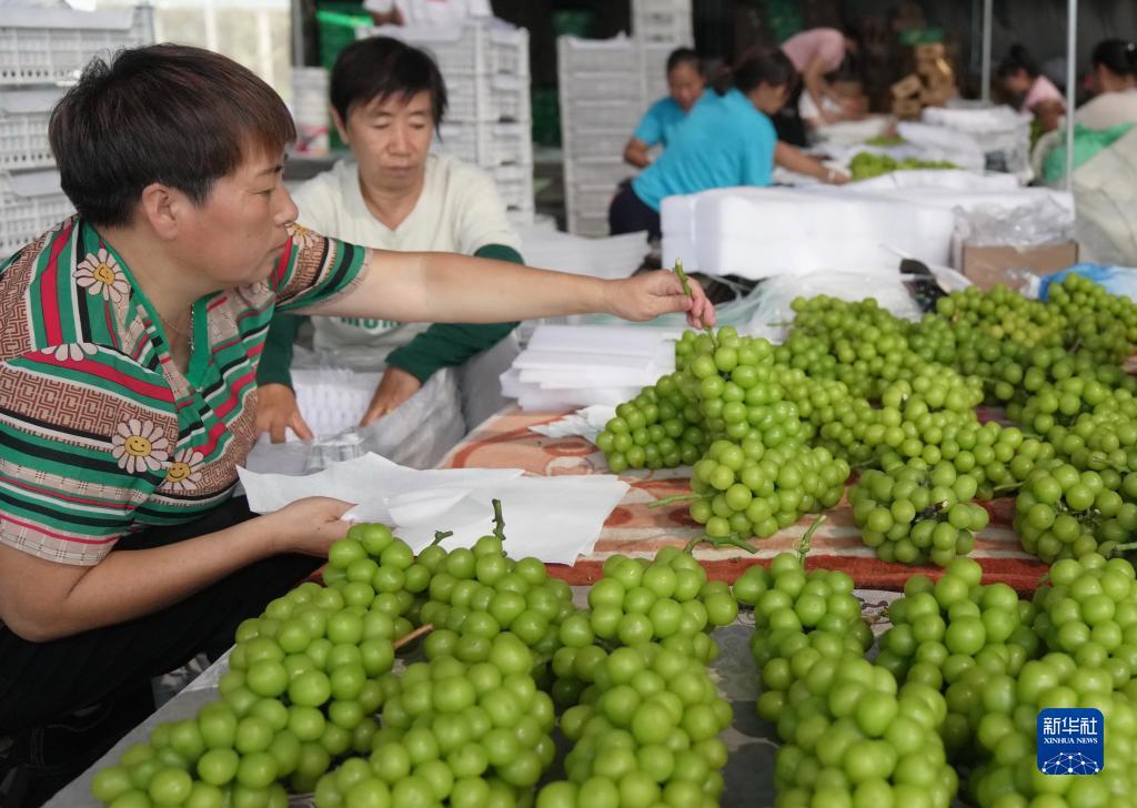 十大送彩金