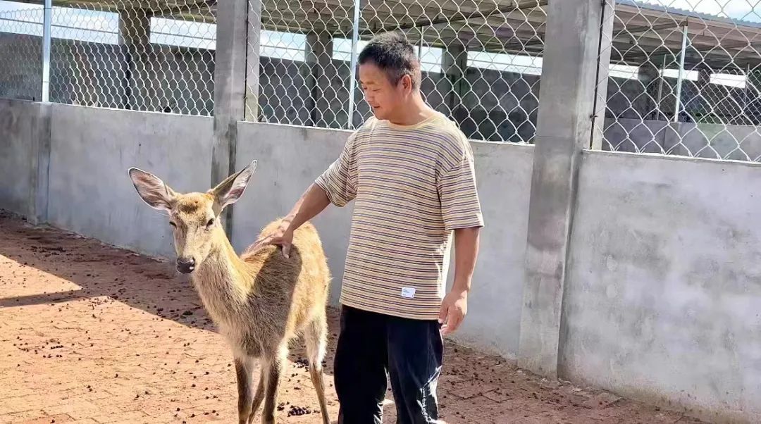 银河网址链接